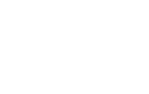 SonneNext Logo